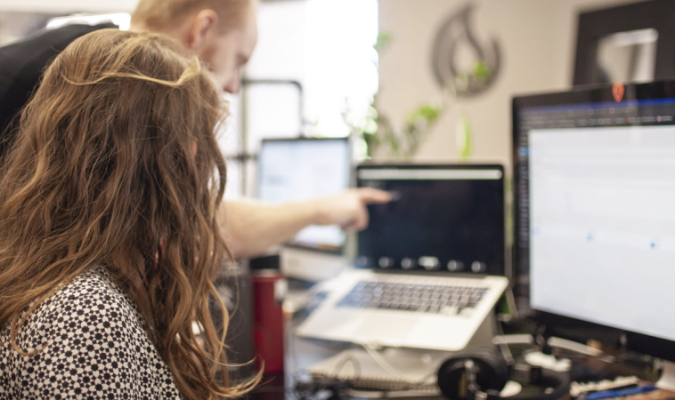 How to be a WordPress developer?