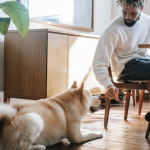 Liver supplements for dogs