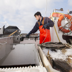 The Prospects of Elevating Seafood Processing Through the Use of Modern Equipment and Technologies