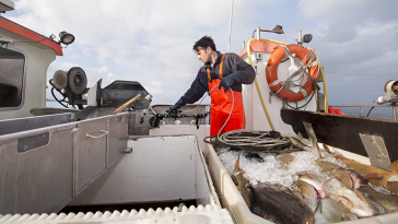 The Prospects of Elevating Seafood Processing Through the Use of Modern Equipment and Technologies