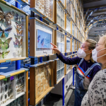 How Galleries and Museums are Using Photo Digitization