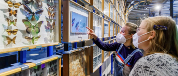 How Galleries and Museums are Using Photo Digitization