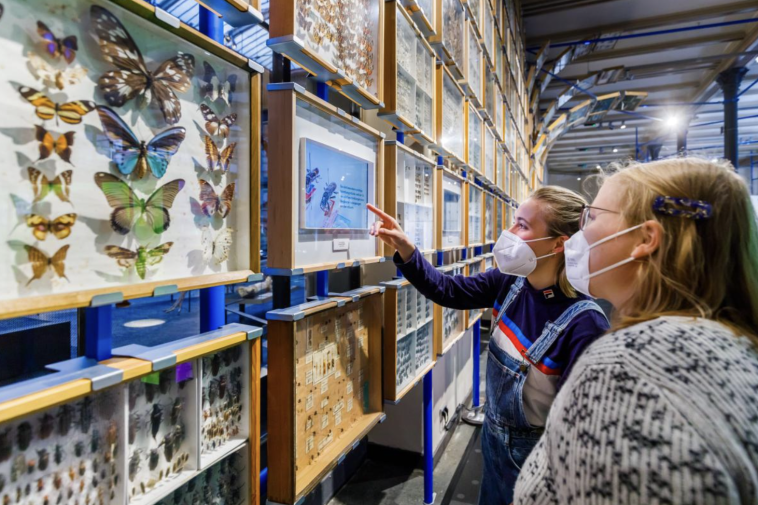 How Galleries and Museums are Using Photo Digitization