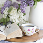 The Beginner's Guide to Home Gardening in Singapore Tips and Tricks