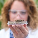 The Versatility of Hemp Extract A Natural Solution for Humans and Animals