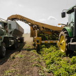 Top 5 Industries Powering the South's Economic Growth