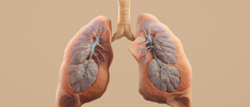 Diagnosed With Mesothelioma? Here's What You Can Do