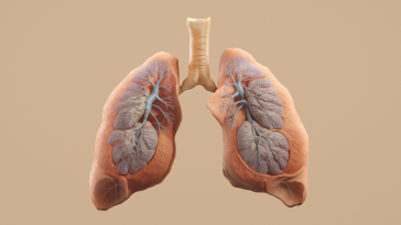 Diagnosed With Mesothelioma? Here's What You Can Do