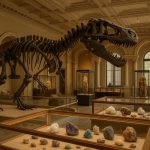 Museum exhibit inspiring curiosity and community engagement, highlighting Joel Bartsch’s vision