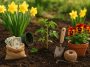 Blooming spring garden with vegetable beds and gardening tools for budget-friendly planting tips